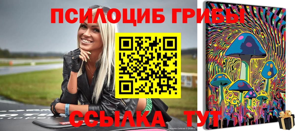 Псилоцибиновые грибы Psilocybine cubensis  Псилоцибиновые грибы Psilocybe  Чебаркуль  Вход с VPN 