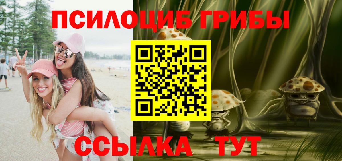 Галлюциногенные грибы Psilocybe Чебаркуль